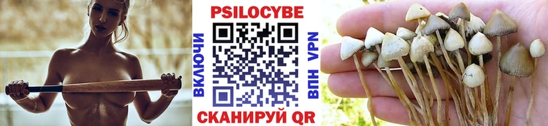 Псилоцибиновые грибы MAGIC MUSHROOMS  Купить закладки  Весьегонск 